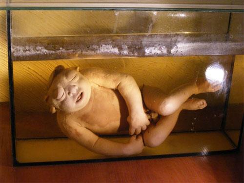 В «кабинете радости» показывают младенцев в банках