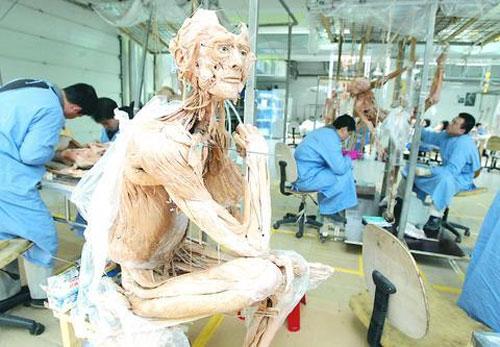 "Доктор Смерть"  продает "нарезку" из трупов