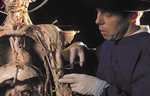 "Доктор Смерть"  продает "нарезку" из трупов