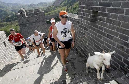 Лучшие фотографии 2007 года глазами блоггеров