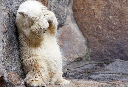 Лучшие фотографии 2007 года глазами блоггеров