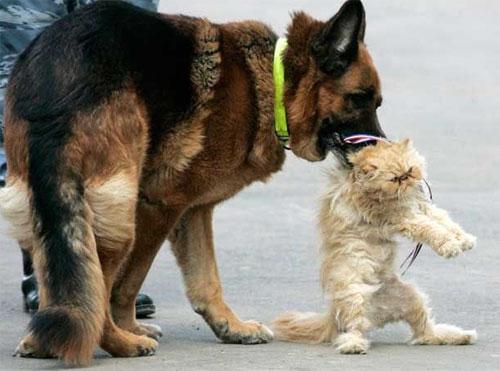 Лучшие фотографии 2007 года глазами блоггеров