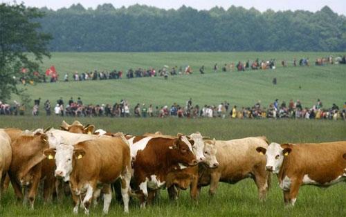 Лучшие фотографии 2007 года глазами блоггеров