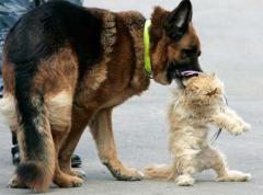 Лучшие фотографии 2007 года глазами блоггеров