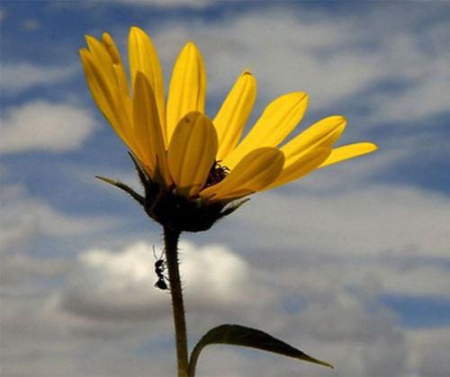 Лучшие фотографии 2007 года глазами блоггеров