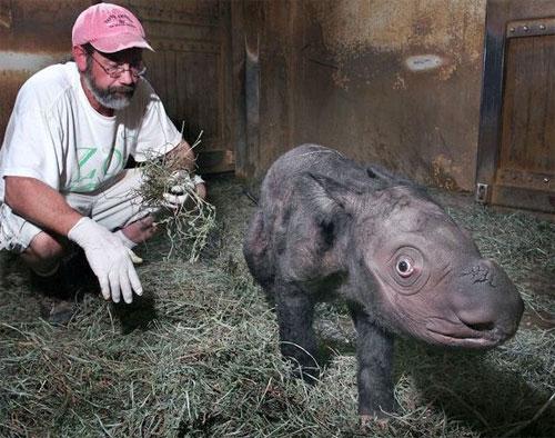 Лучшие фотографии 2007 года глазами блоггеров