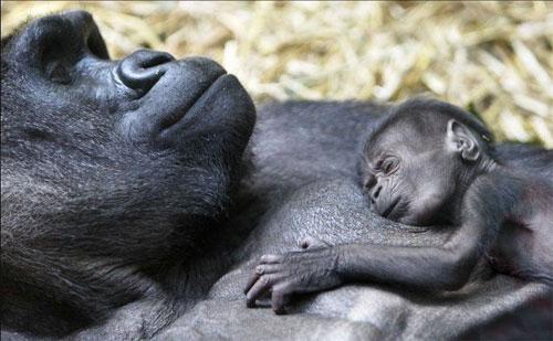 Лучшие фотографии 2007 года глазами блоггеров