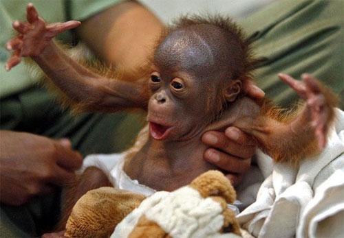 Лучшие фотографии 2007 года глазами блоггеров