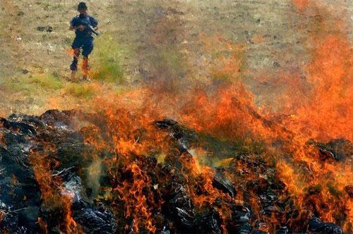 Лучшие фотографии 2007 года глазами блоггеров