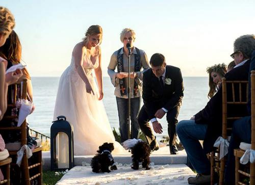 20 звездных пар, которые скрыли свою свадьбу