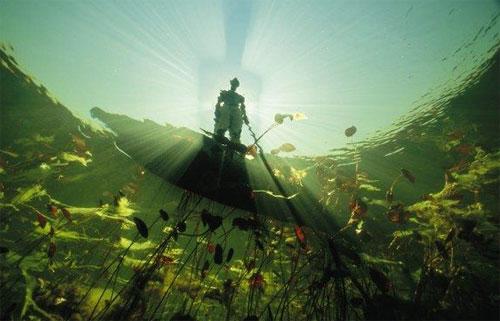 Вымирающий подводный мир Дэвида Дубиле