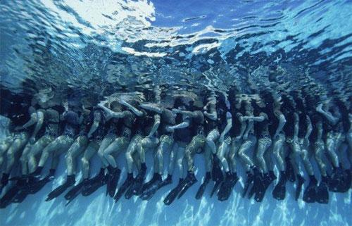 Вымирающий подводный мир Дэвида Дубиле