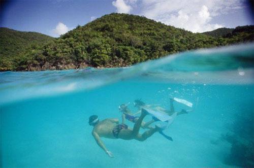 Вымирающий подводный мир Дэвида Дубиле