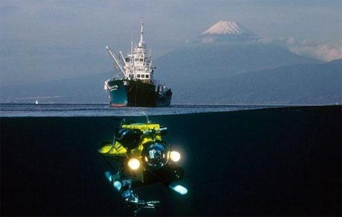 Вымирающий подводный мир Дэвида Дубиле