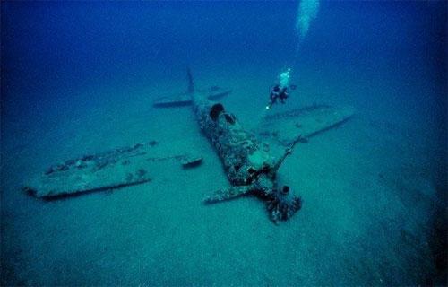 Вымирающий подводный мир Дэвида Дубиле