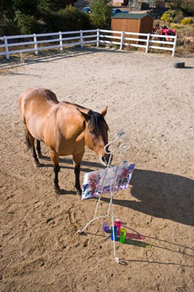 Конь-художник выставляется в галерее Италии