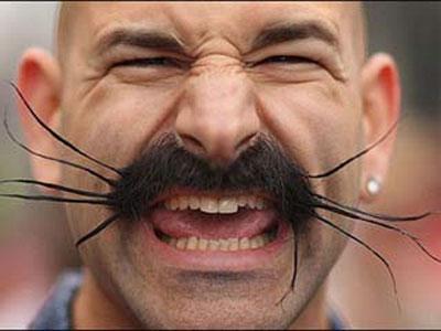 В Британии собрались усачи — бородачи со всего света