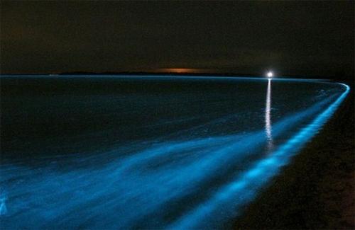 В Австралии неоновое озеро светится в темноте