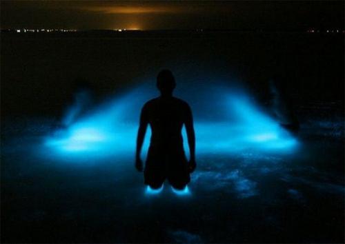 В Австралии неоновое озеро светится в темноте