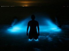 В Австралии неоновое озеро светится в темноте