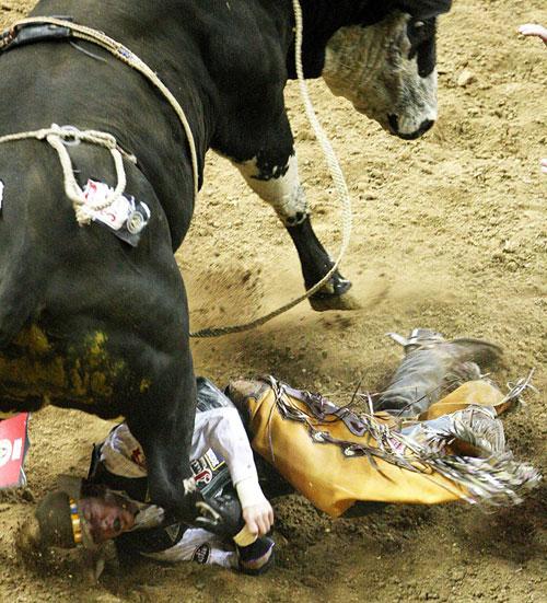 Американские ковбои отметили юбилей родео