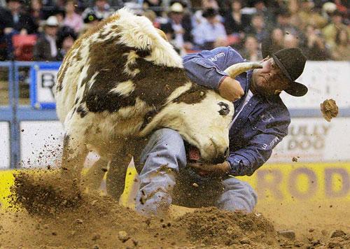 Американские ковбои отметили юбилей родео