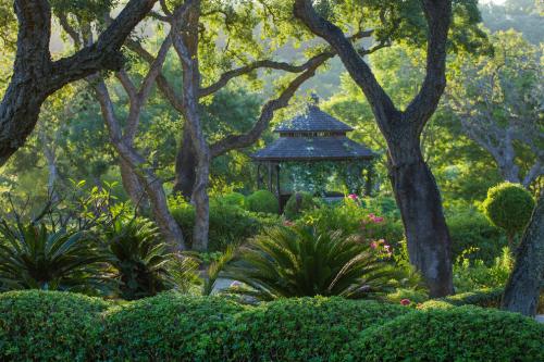 Всемирный конкурс садово-парковой фотографии