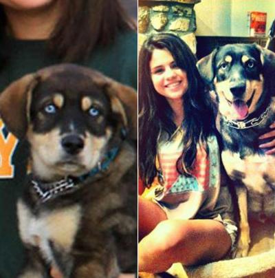 Последние фотографии звезд из Твиттеров