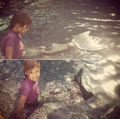 Последние фотографии звезд из Твиттеров