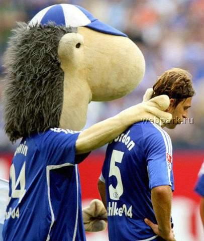 Гримасы большого спорта:  лучшие  фотографии 2007 года