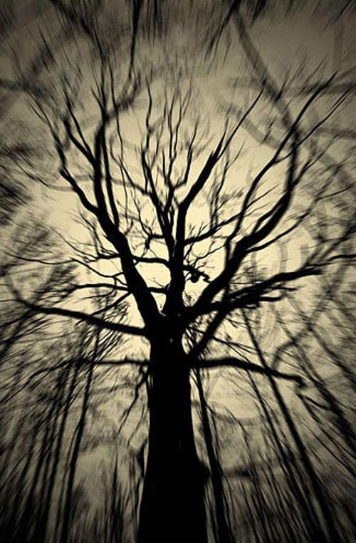 Sony World Photography Awards: 57 лучших фото