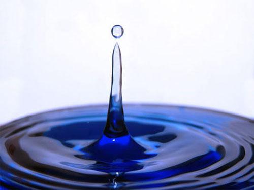 Sony World Photography Awards: 57 лучших фото