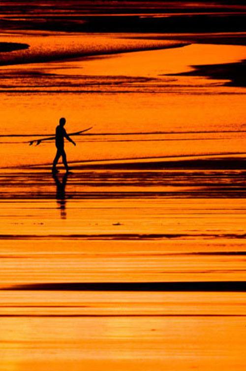 Sony World Photography Awards: 57 лучших фото