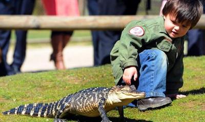 Двухлетний рейнджер укрощает рептилий