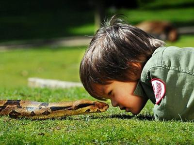 Двухлетний рейнджер укрощает рептилий