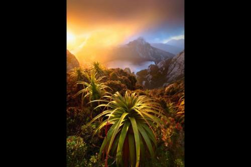 Чудеса природы Австралии на фото конкурса Nature Photographer of the Year 2019
