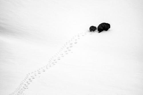 Чудеса природы Австралии на фото конкурса Nature Photographer of the Year 2019