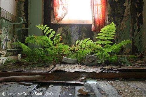 В Лондоне объявлены лучшие фотографы дикой природы