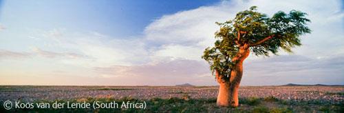В Лондоне объявлены лучшие фотографы дикой природы