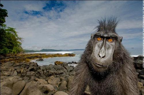 В Лондоне объявлены лучшие фотографы дикой природы