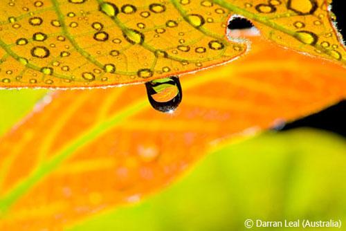 В Лондоне объявлены лучшие фотографы дикой природы