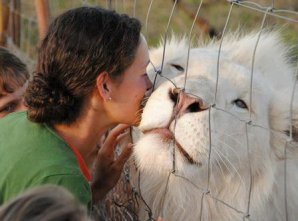 Животные-альбиносы