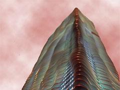 Удивительные сооружения которые появятся на Земле