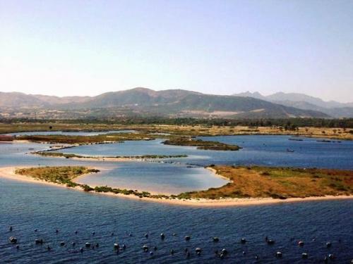 Самые дорогие подарки в мире