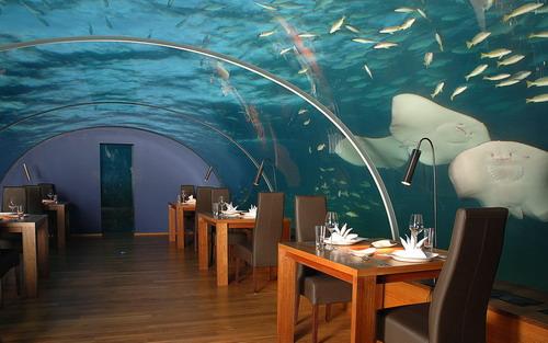 Единственный в мире подводный ресторан на Мальдивах