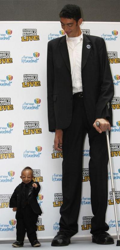 Необычная встреча на фестивале Книги рекордов Гиннесса