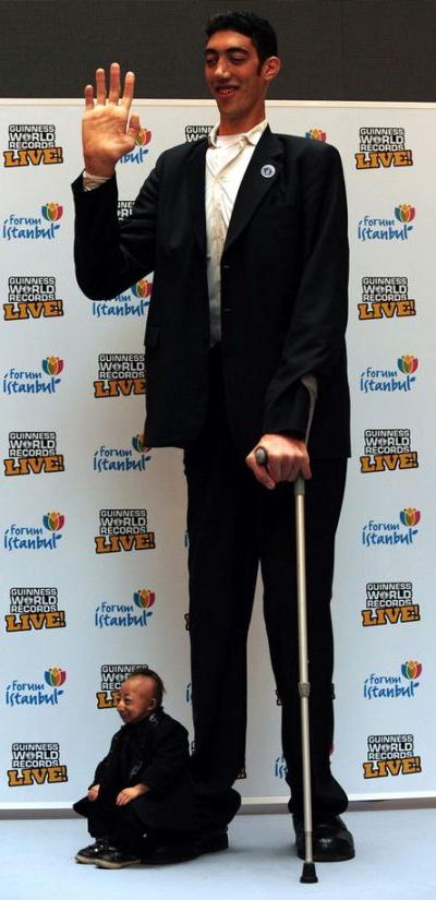 Необычная встреча на фестивале Книги рекордов Гиннесса