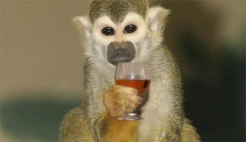 Самые странные и дорогие проекты американского правительства