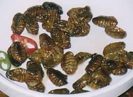 Кулинарные изыски разных стран