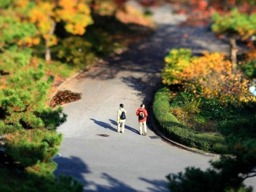 Фотоэффект Tilt-Shift: лилипутские фотографии в реале